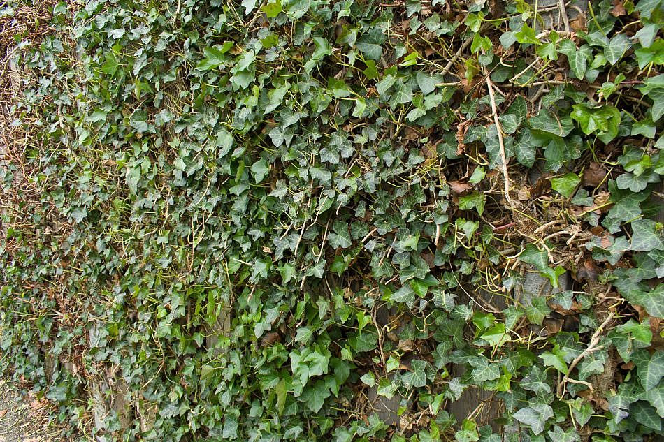 DSC_2340