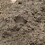 DSC_2435