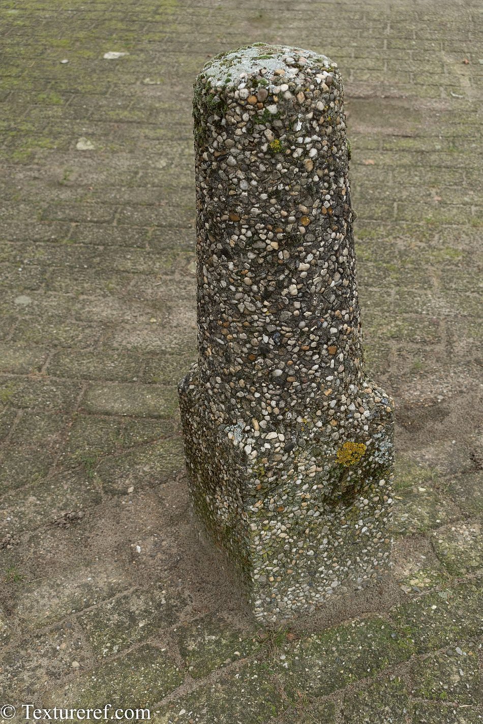 DSC_2461