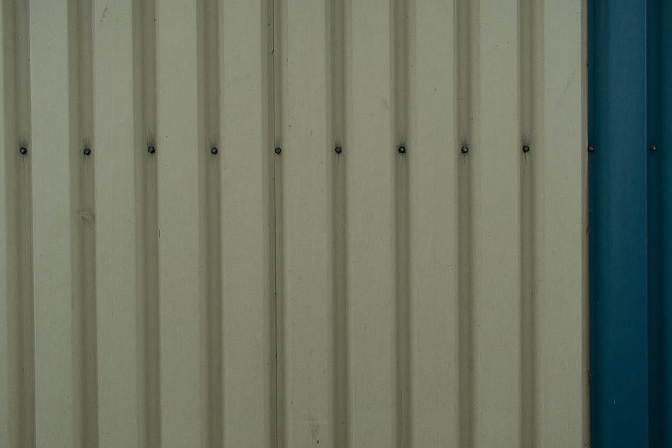 DSC_2510