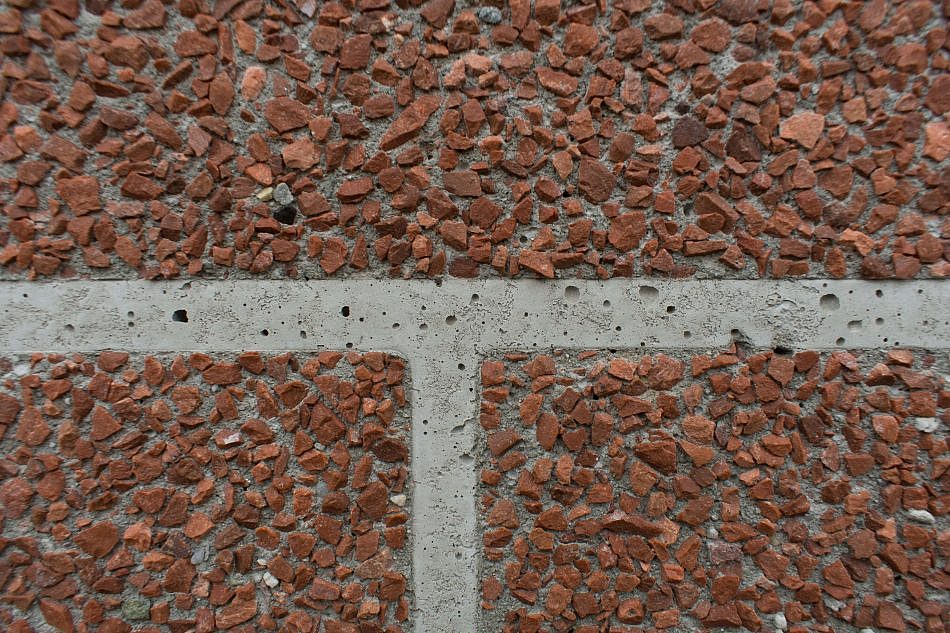 DSC_2559