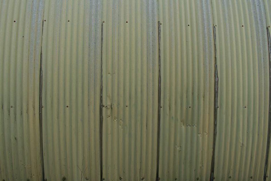 DSC_2649