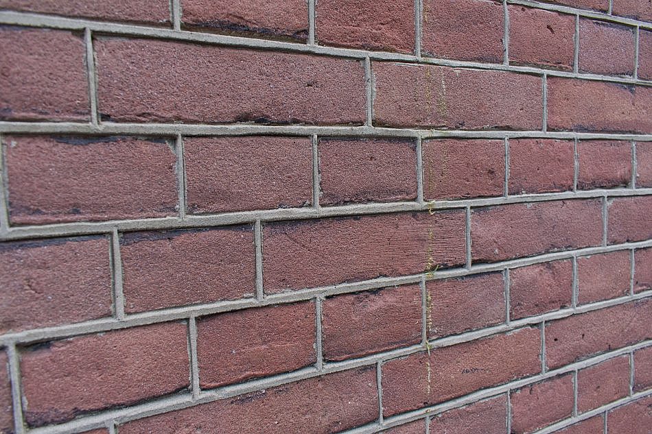 DSC_2765