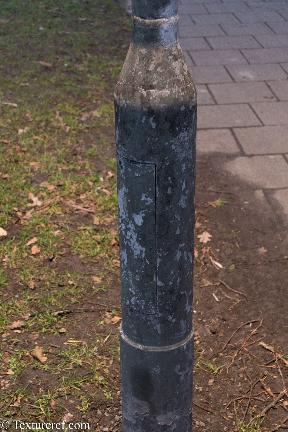 DSC_3567