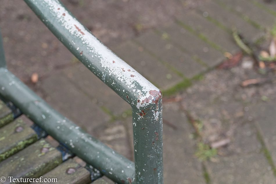 DSC_3635
