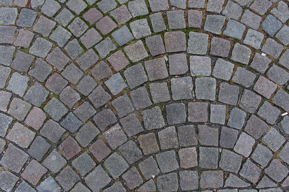 DSC_3809