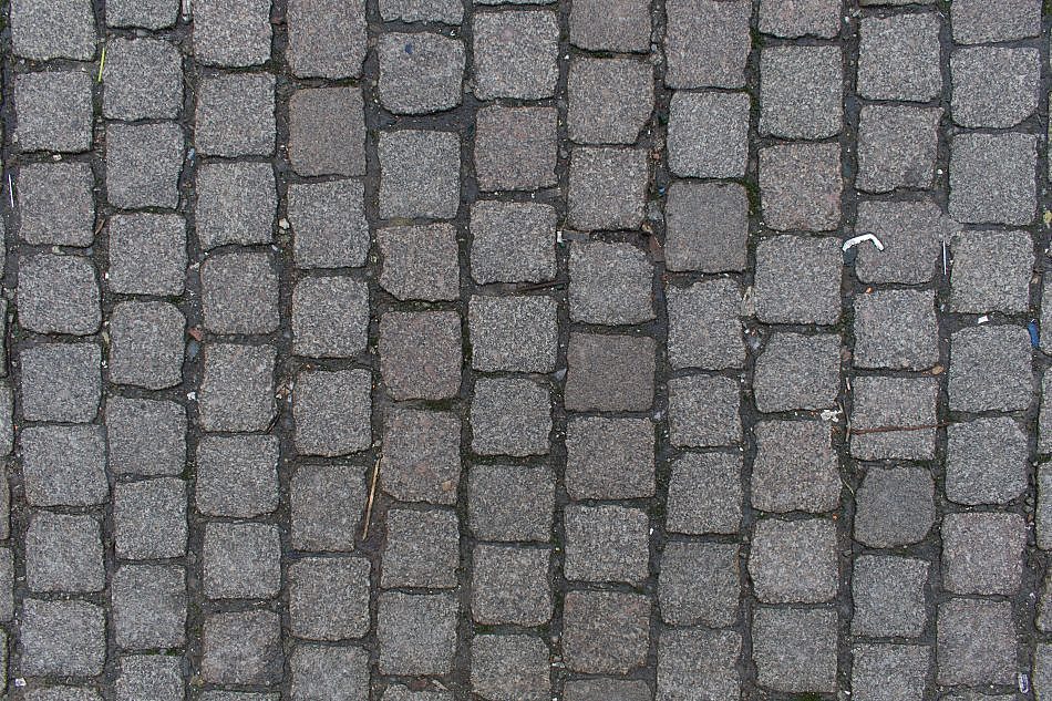 DSC_3862