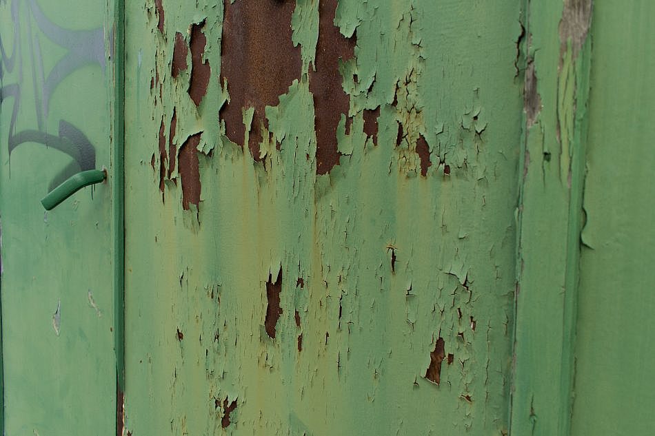 DSC_4501