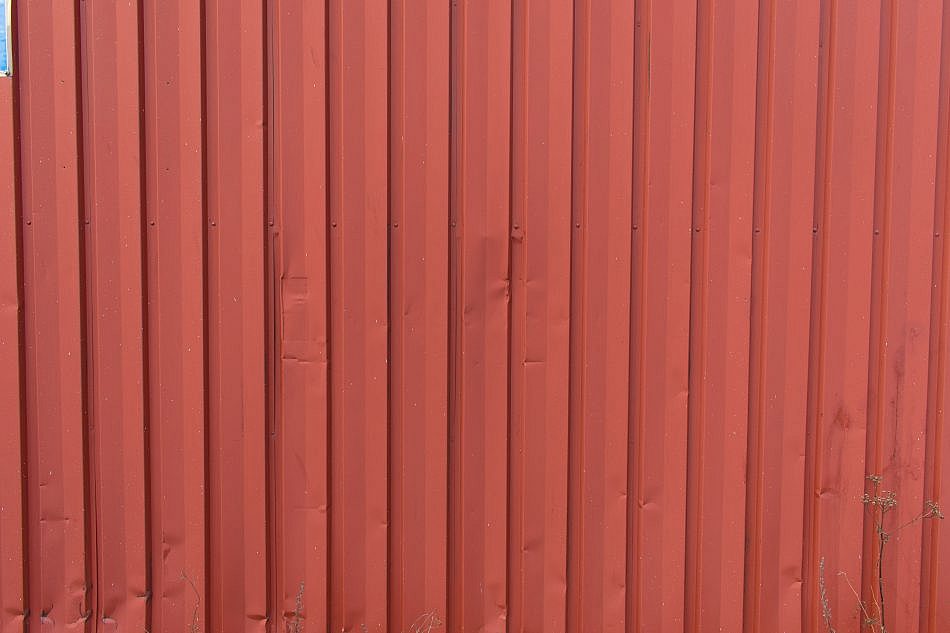 DSC_4523