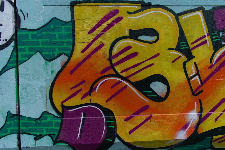 DSC_4931