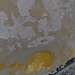 DSC_5060