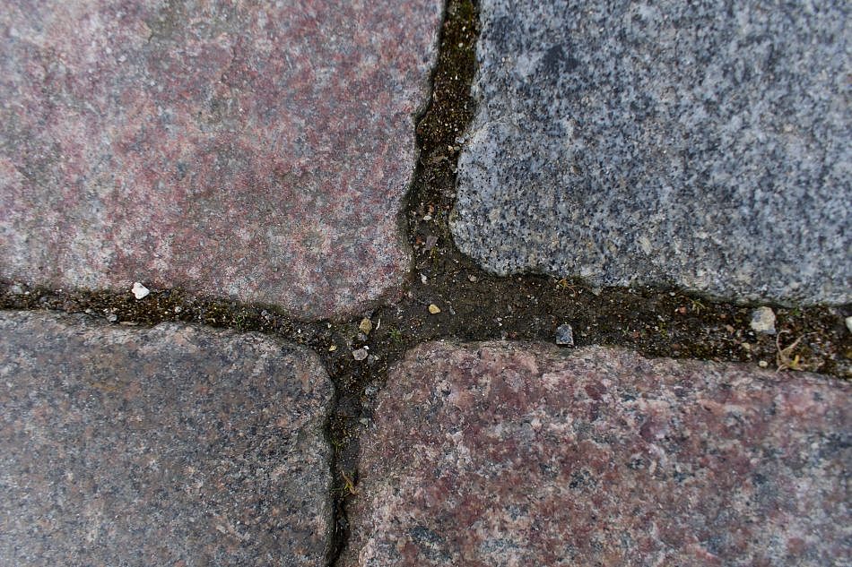 DSC_5065