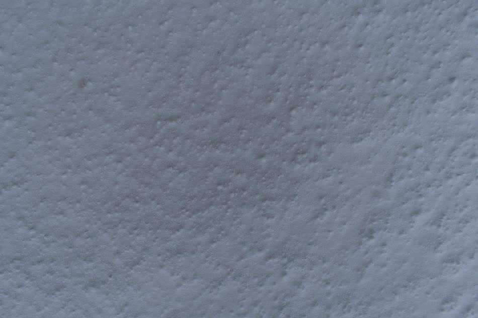 DSC_5215