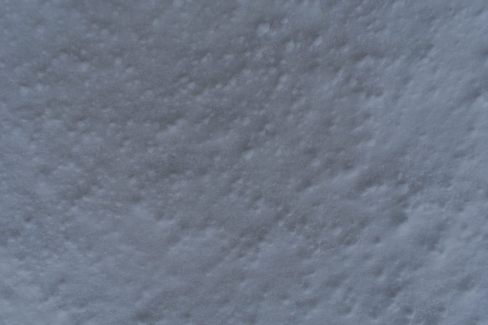 DSC_5216