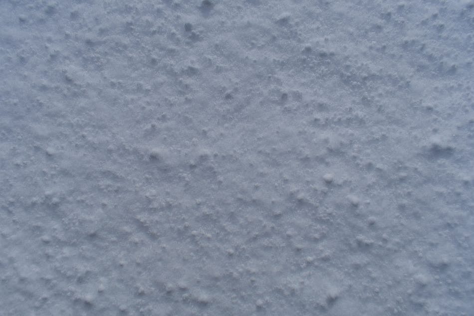 DSC_5220