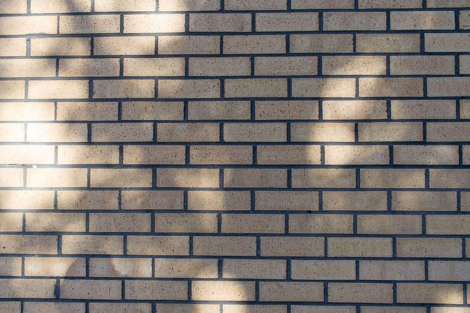 NewBricks-Yellow-E-1