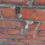 OldBricks-Red-N-4