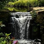 REF_7456