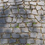 TEX_1723