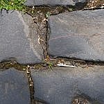 TEX_1725