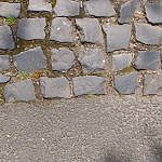 TEX_1726