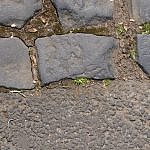 TEX_1727