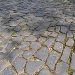 TEX_1729