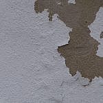 TEX_2096