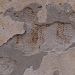 TEX_2166