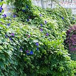 TEX_2201