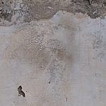 TEX_2204