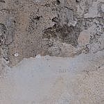 TEX_2205