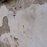 TEX_2206