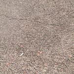 TEX_2216