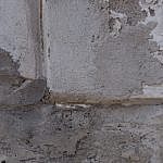 TEX_2247