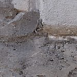 TEX_2248