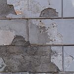 TEX_2249