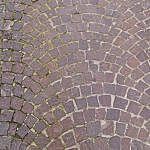 TEX_2253