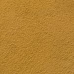 TEX_2259