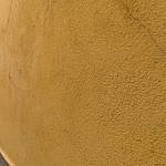TEX_2261