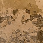 TEX_2263