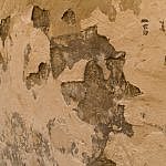 TEX_2266