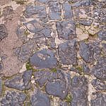 TEX_2268
