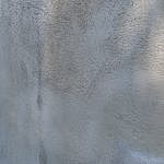 TEX_2290