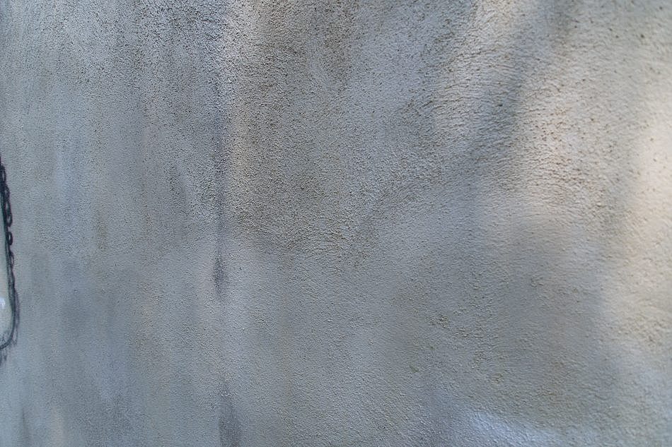 TEX_2290