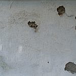 TEX_2313