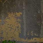 TEX_2340