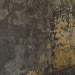TEX_2343