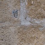 TEX_2413