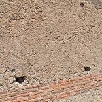 TEX_2429